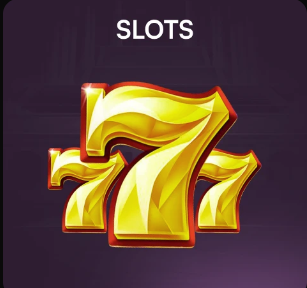 篮球一级运动员